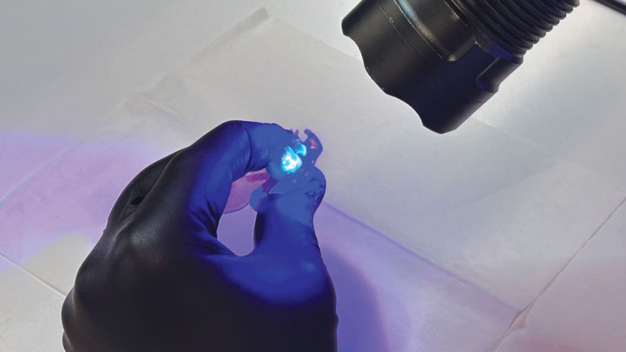 The base and teeth are bonded