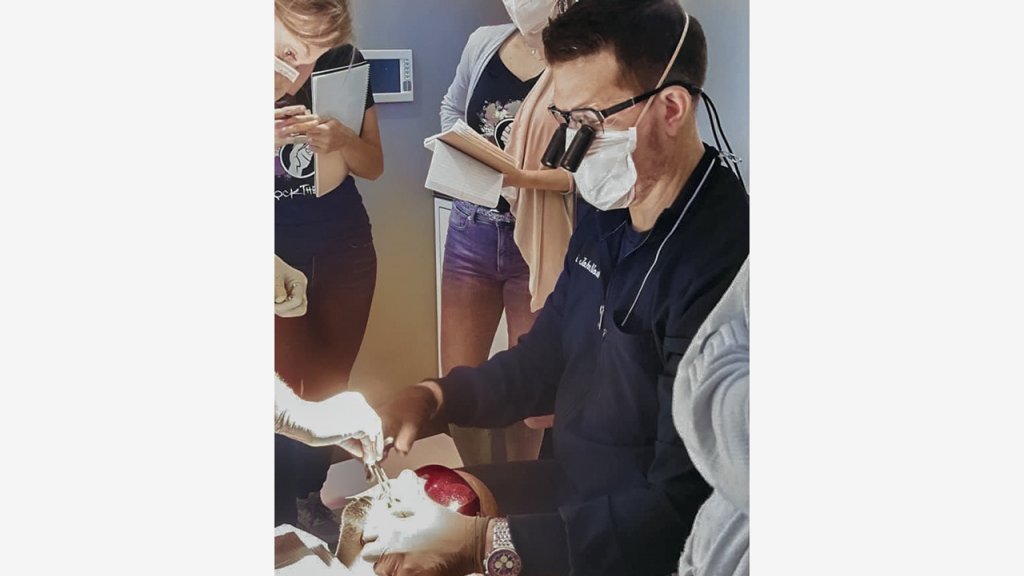 Dental CE Courses Implant Placement Training Glidewell