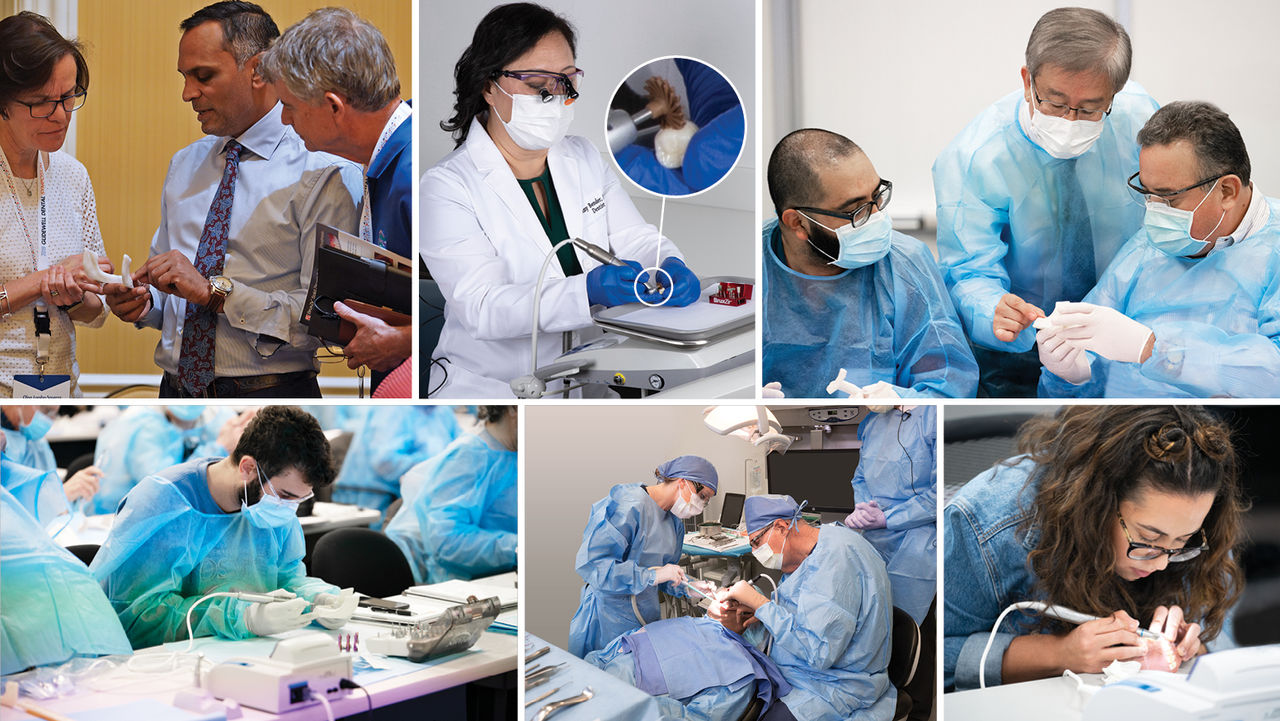 Collaboration with Leading Experts