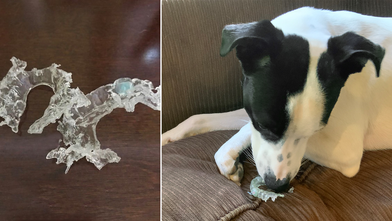 Dog and Sleep Appliances