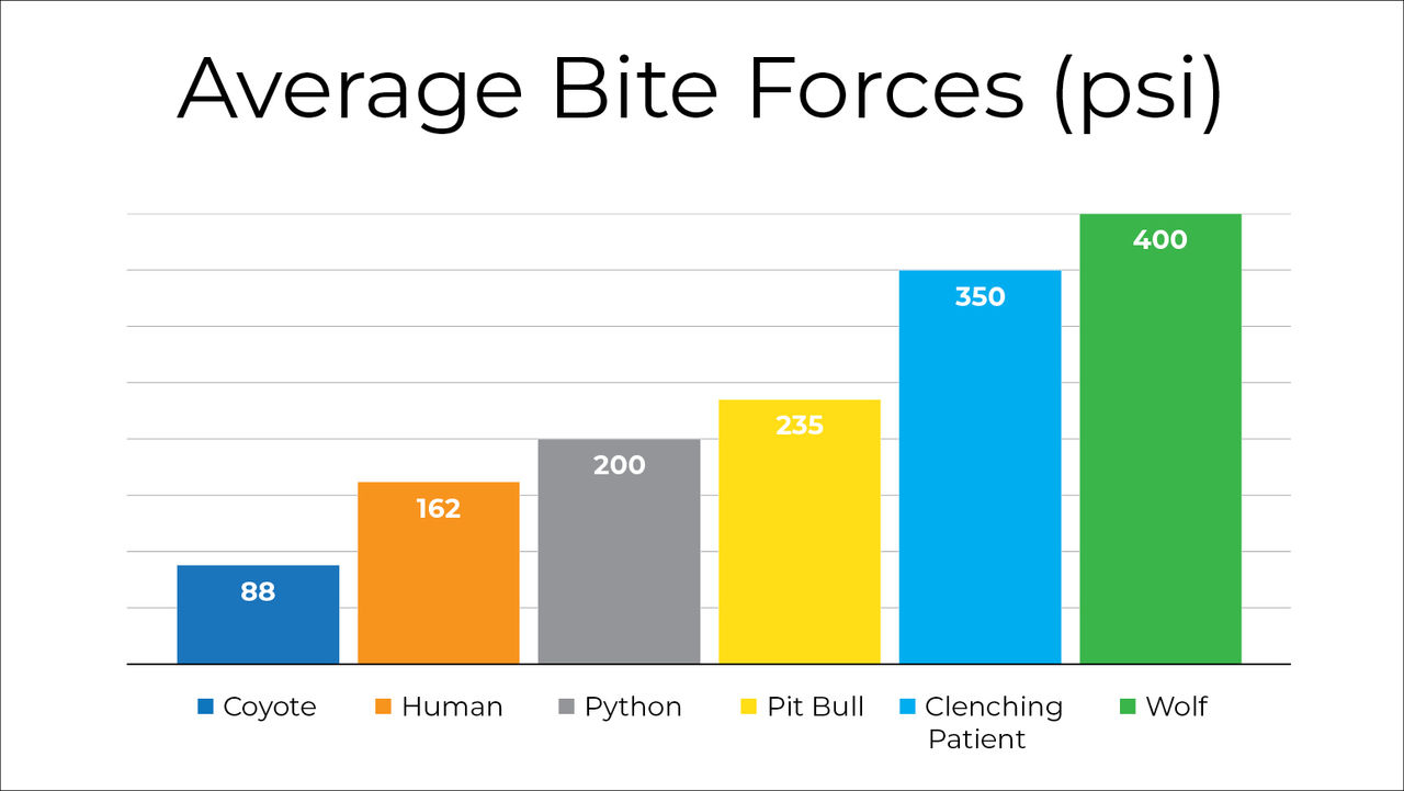 Average Bite Forces (psi) chart