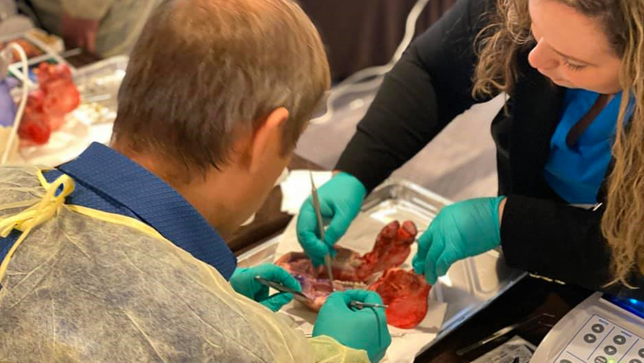 dentists participating in hands-on surgical exercise at Misch Institute