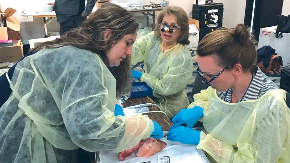 Misch Institute surgical program offers hands-on labs