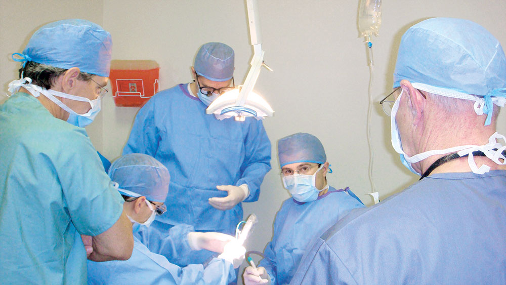 Dentists doing hands-on training