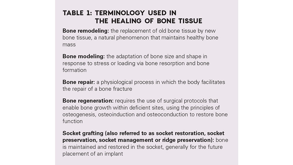 Table 1: Terminology Used in the Healing of Bone Tissue
