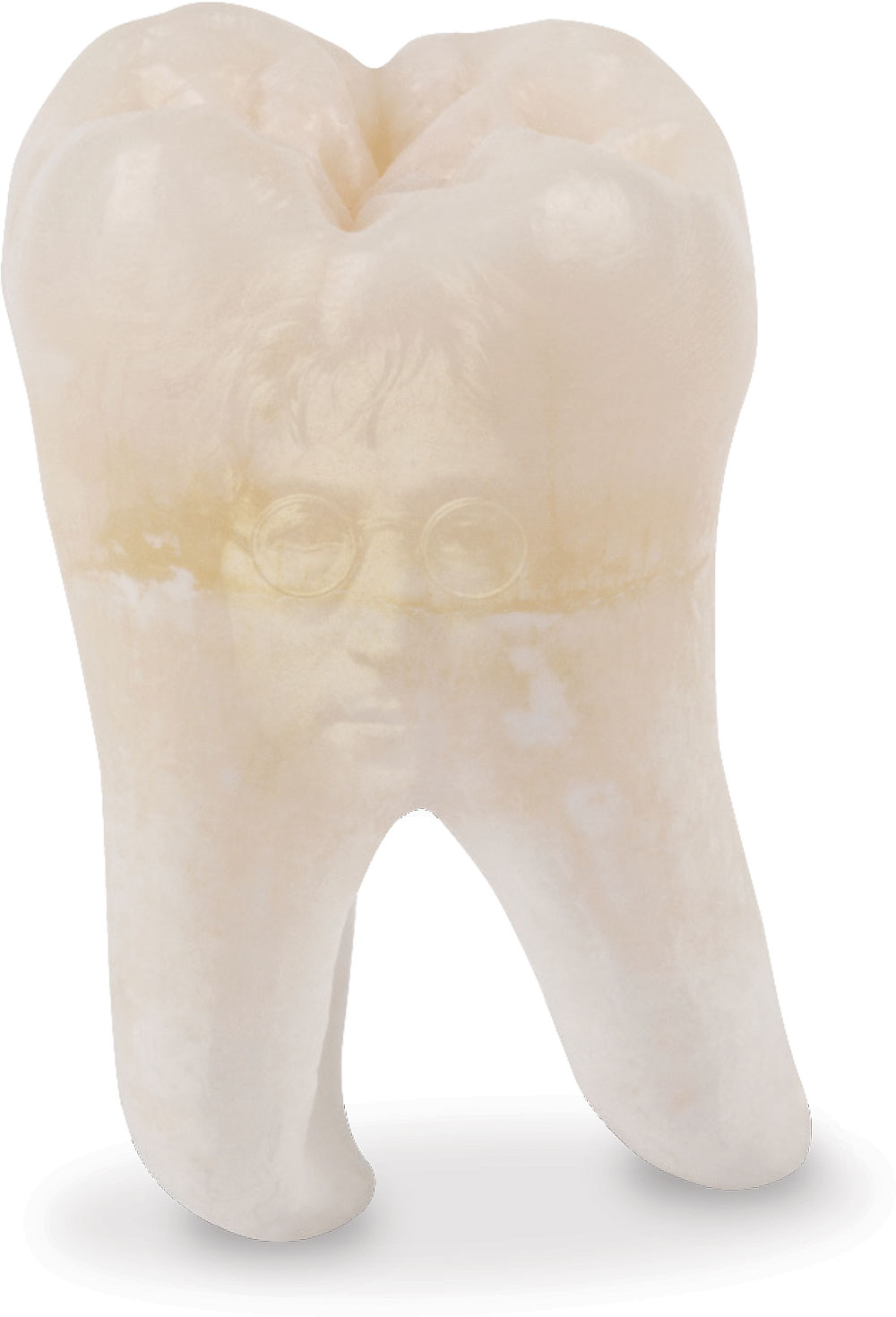 The molar of Beatles icon John Lennon