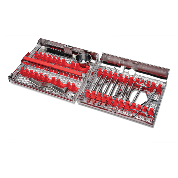GDT Sponge Bovine Grafting Plug: Membrane Bone Regeneration